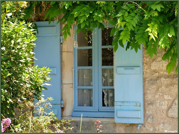 Fenêtre aux volets bleus à la glycine à Talmont-sur-Gironde, Charente-Maritime