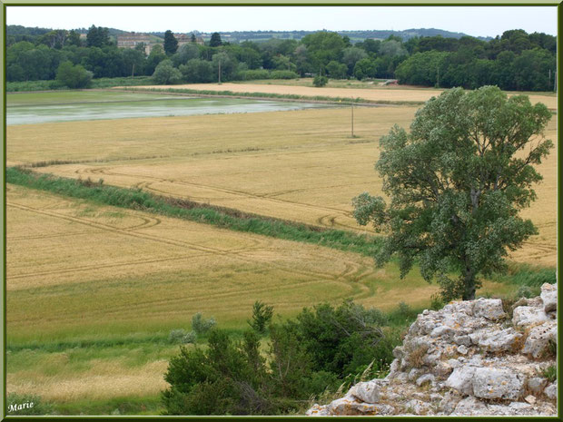 Paysage et panorama à l'extrémité de l'aqueduc à Fontvielle dans les Alpilles (Bouches du Rhône) : champs, rizières...