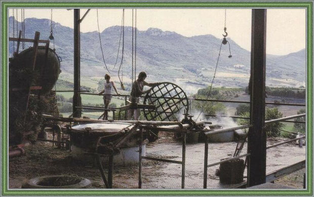 Il y a juste quelques années... Une distillerie (carte postale - collection privée) 