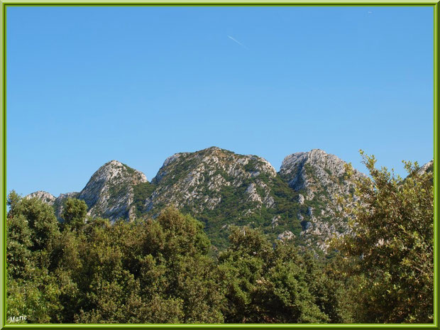 Les Alpilles au-dessus du vignoble du Château Romanin à Saint Rémy de Provence (13)