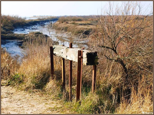 Une écluse en bordure du sentier et d'un chenal entre Bassin et réservoirs, Sentier du Littoral, secteur Domaine de Certes et Graveyron, Bassin d'Arcachon (33)