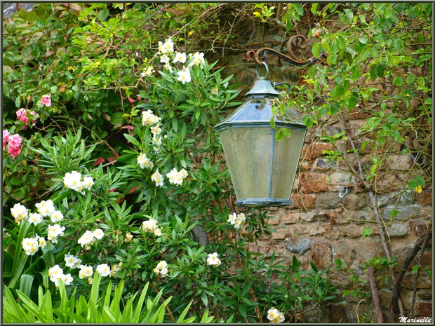 Le Manoir : une lanterne sur un mur d'un bâtiment annexe - Les Jardins du Kerdalo à Trédarzec, Côtes d'Armor (22)