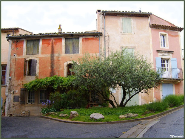 Jardinet et maisons face à l'ancien Bureau de Poste - Goult, Lubéron - Vaucluse (84)