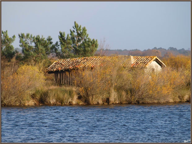 Cabane au milieu d'un des réservoirs sur le Sentier du Littoral, secteur Moulin de Cantarrane, Bassin d'Arcachon (ancienne maison d'un garde chasse-pêche ou éclusier) 