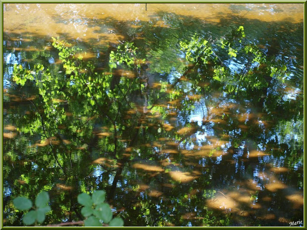 Reflets sur le Canal des Landes au Parc de la Chêneraie à Gujan-Mestras (Bassin d'Arcachon)