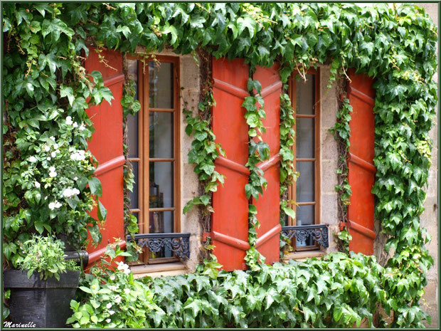 Maison aux volets rouges et sa vigne vierge en centre ville de Pontrieux, Côte d'Armor (22)  