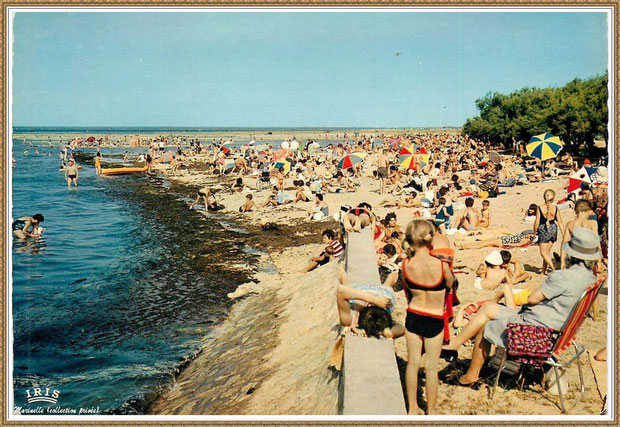Gujan-Mestras autrefois : La Hume, plage et baigneurs, Bassin d'Arcachon (carte postale, collection privée) 