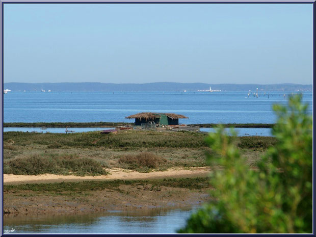 Gujan-Mestras Bassin d'Arcachon, tonne dans les prés salés