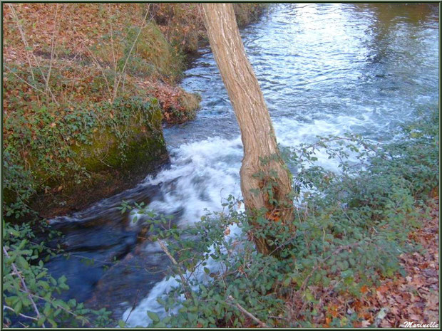 Le Canal des Landes en sortie d'une écluse au Parc de la Chêneraie à Gujan-Mestras (Bassin d'Arcachon)