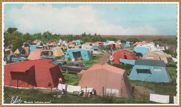Gujan-Mestras autrefois : La Hume, le Camping Municipal à Verdale, Bassin d'Arcachon (carte postale, collection privée) 