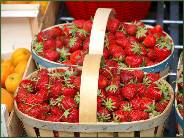 Marché de Provence, mardi matin à Vaison-la-Romaine, Haut Vaucluse (84), étal de fruits