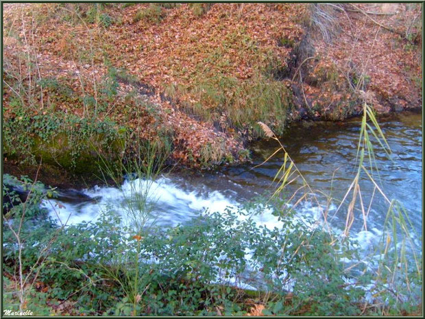 Le Canal des Landes en sortie d'une écluse au Parc de la Chêneraie à Gujan-Mestras (Bassin d'Arcachon)