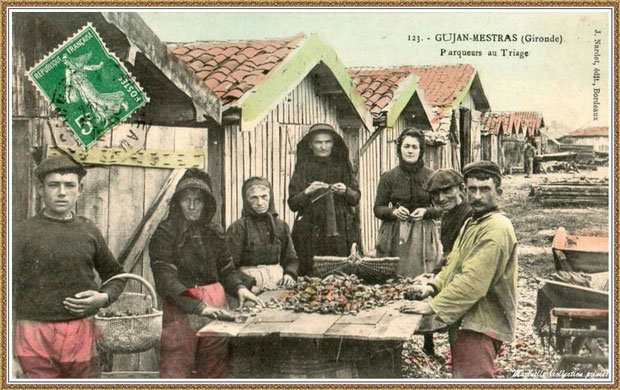 Gujan-Mestras autrefois : en 1908, parqueurs au triage, Bassin d'Arcachon (carte postale  - version colorisée, collection privée)