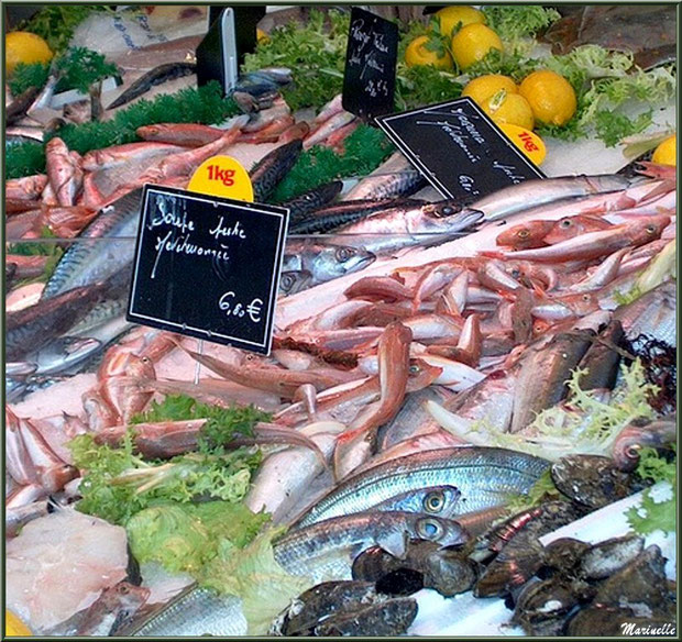 Marché de Provence, jeudi matin à Maussane-Les-Alpilles (13), étal de poissons de Méditerranée