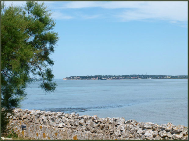 Vue sur La Gironde et Meschers-sur-Gironde depuis les fortifications de Talmont -sur-Gironde, Charente-Maritime