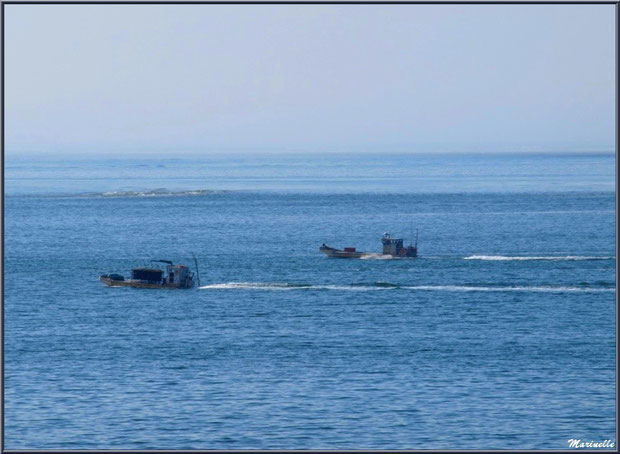 Bateaux chalands en partance parcs à huîtres vus depuis la jetée de La Corniche à Pyla-sur-Mer, Bassin d'Arcachon (33)