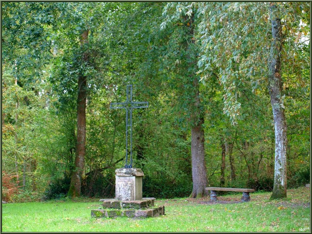 Eglise St Michel du Vieux Lugo à Lugos (Gironde) : croix et banc dans la clairière, pour les pèlerins