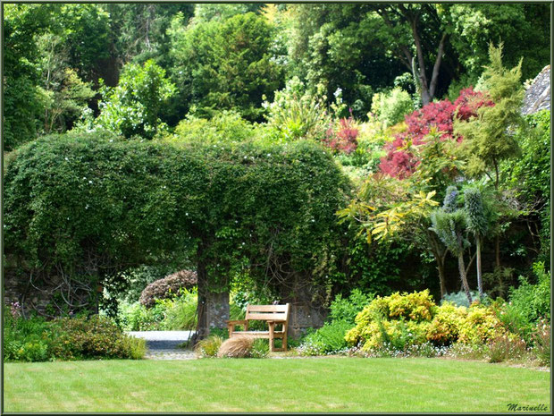 Jardin à l'entrée, face au Manoir - Les Jardins du Kerdalo à Trédarzec, Côtes d'Armor (22)  