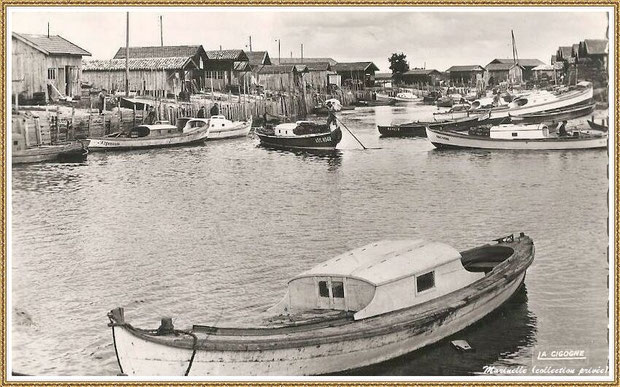 Gujan-Mestras autrefois : en 1965, pinasses dans la darse secondaire du Port de Larros, Bassin d'Arcachon (carte postale - version NB, collection privée)