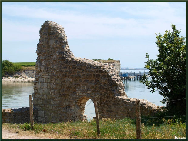 La Tour Blanche à Talmont-sur-Gironde avec vue sur les falaises du Caillaud et ses carrelets à ponton, Charente-Maritime