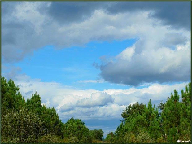 Ciel de traine, forêt sur le Bassin d'Arcachon (33)