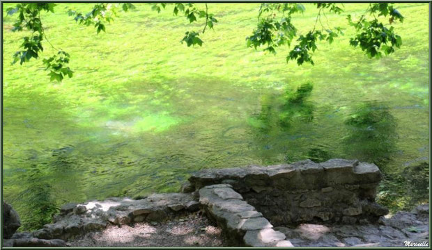 La Sorgue et ses reflets le long du chemin menant au gouffre et sa résurgence, Fontaine de Vaucluse, Pays de La Sorgue, Vaucluse (84)