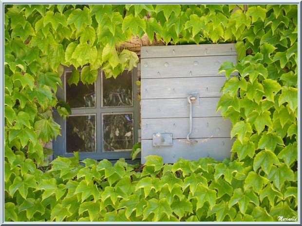  Une petite fenêtre de la maison à l'entrée de l'abbaye de Silvacane, Vallée de la Basse Durance (13)  