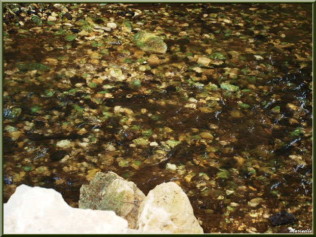 Une multitude de pierres colorées font, par endroits, le lit de La Leyre, Sentier du Littoral au lieu-dit Lamothe, Le Teich, Bassin d'Arcachon (33) 