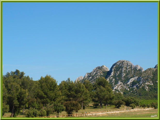 Les Alpilles et la route bordant le vignoble du Château Romanin à Saint Rémy de Provence (13)