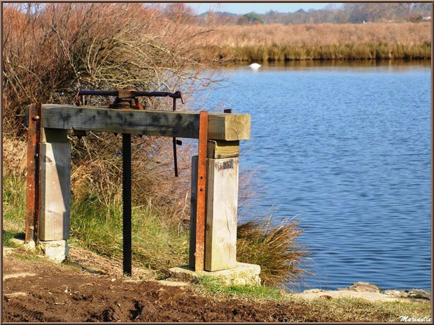 Une écluse en bordure d'un réservoir, Sentier du Littoral, secteur Domaine de Certes et Graveyron, Bassin d'Arcachon (33)