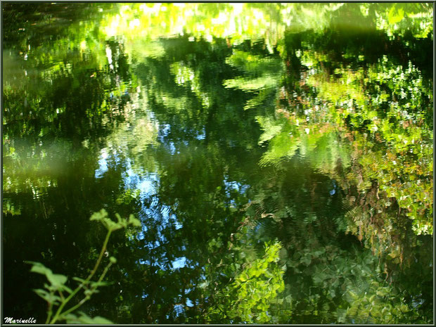 Reflets de la végétation sur le Petit Etang au bas de la Cascade - Les Jardins du Kerdalo à Trédarzec, Côtes d'Armor (22)  