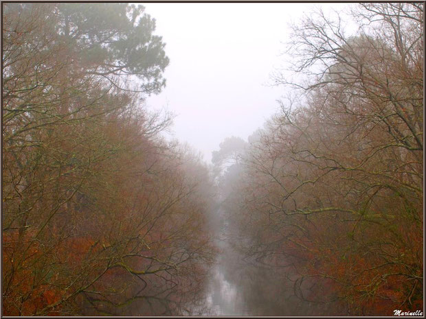 Le Canal des Landes dans la brume au Parc de la Chêneraie à Gujan-Mestras (33)