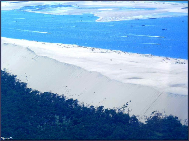 La Dune du Pyla et le Banc d'Arguin, Bassin d'Arcachon (33) vu du ciel 