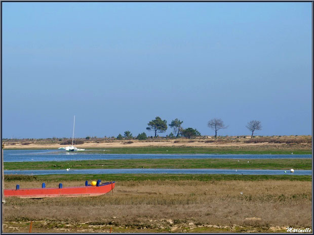 "Le Mimbeau" au Cap Ferret, Bassin d'Arcachon