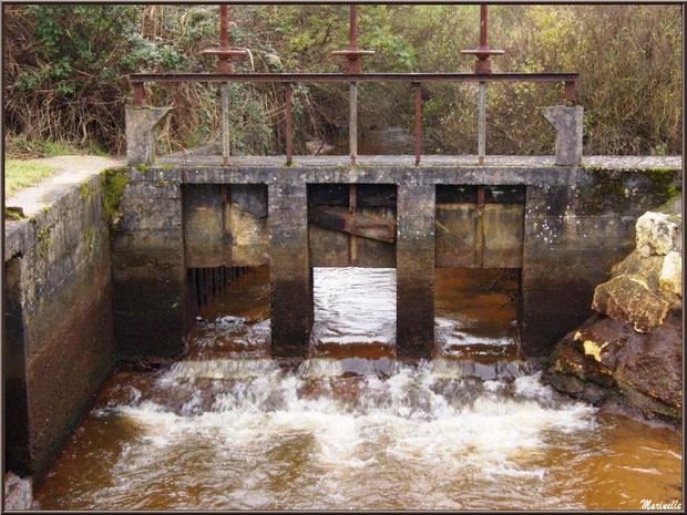 Une des écluses, à l'entrée du Parc de la Chêneraie à Gujan-Mestras (Bassin d'Arcachon)