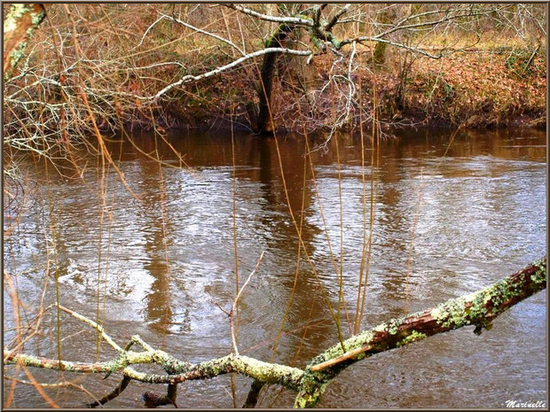 La Leyre et ses reflets en hiver, Sentier du Littoral au lieu-dit Lamothe, Le Teich, Bassin d'Arcachon (33) 