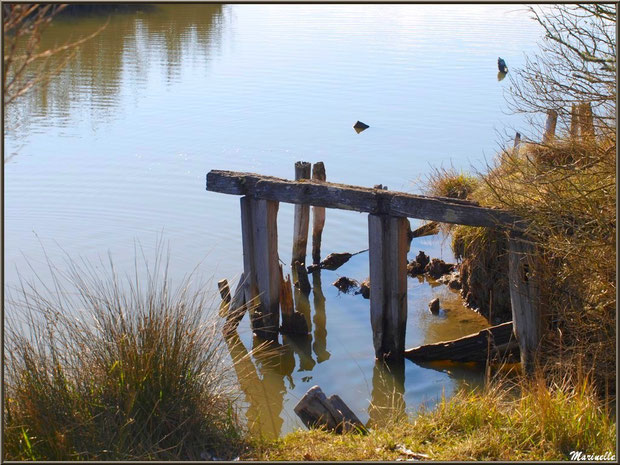 Ancien ponton et ses reflets dans un réservoir, Sentier du Littoral, secteur Moulin de Cantarrane, Bassin d'Arcachon