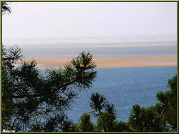 Vue depuis les hauteurs de La Corniche à Pyla-sur-Mer, Bassin d'Arcachon (33) : le Bassin, bancs de sable, Banc d'Arguin et les Passes en toile de fond