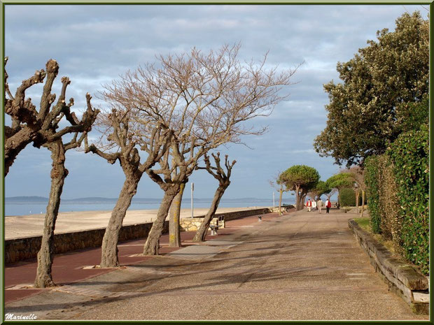 La promenade en front de mer de la plage Péreire à Arcachon, Bassin d'Arcachon (33)