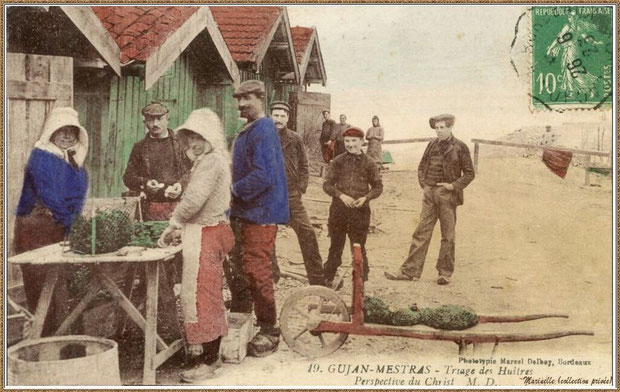 Gujan-Mestras autrefois : en 1923, ostréiculteurs au triage des huîtres devant cabanes vers Jetée du Christ au Port de Larros, Bassin d'Arcachon (carte postale, collection privée)