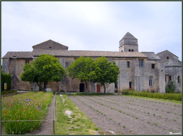 Le monastère de Saint Paul de Mausole à Saint Rémy de Provence (Alpilles - 13) : l'arrière donnant dans le jardin aux iris et aux lavandes