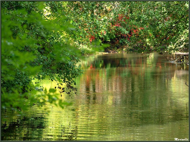 Verdure et reflets de début d'automne sur La Leyre, Sentier du Littotal au lieu-dit Lamothe, Le Teich, Bassin d'Arcachon (33)