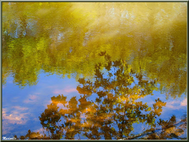 Reflets d'or sur La Leyre, Sentier du Littotal au lieu-dit Lamothe, Le Teich, Bassin d'Arcachon (33)