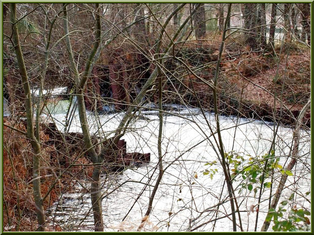 Une des écluses sur le Canal des Landes au Parc de la Chêneraie à Gujan-Mestras (Bassin d'Arcachon)