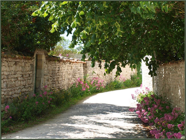 Ruelle fleurie à Talmont-sur-Gironde, Charente-Maritime