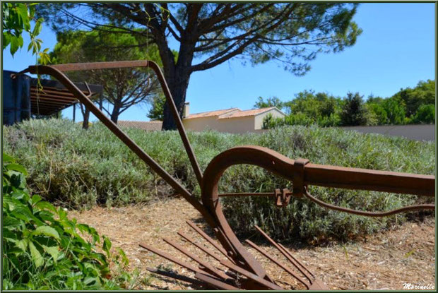 Le "Musée de la Lavande" à Coustellet (84), exposition extérieure d'outils anciens : vieille laboureuse