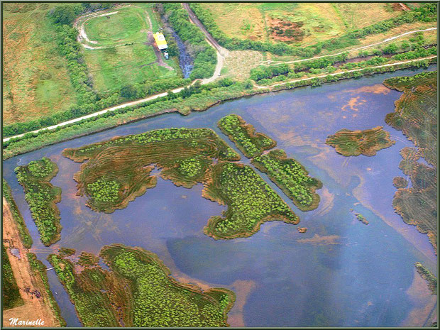 Gujan Mestras et ses prés salés vers l'Estey de la Molle, Bassin d'Arcachon (33) vu du ciel