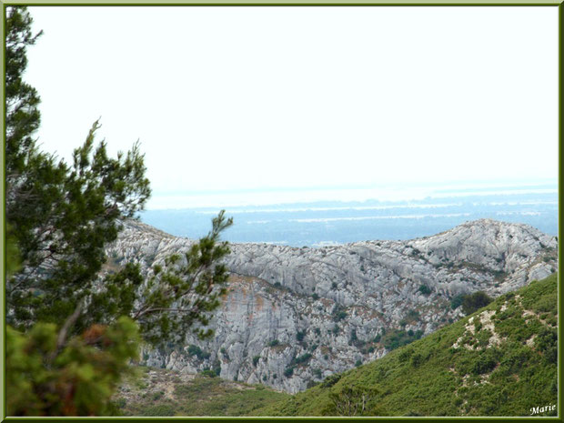Site de rencontre bouches du rhone gratuit