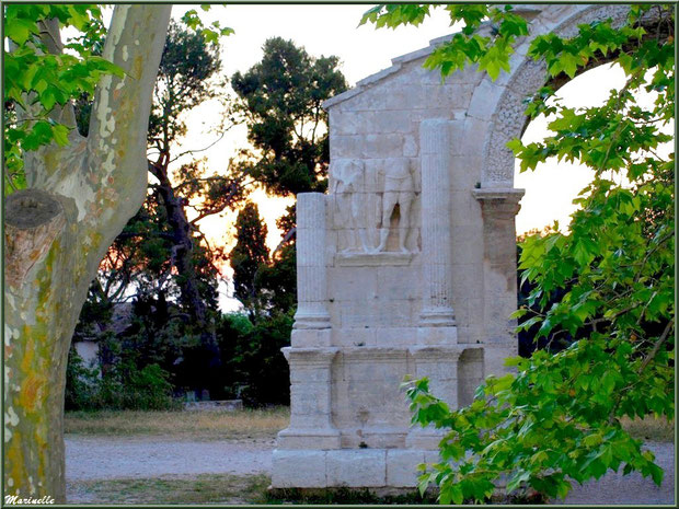 Détail d'un des côtés de l'Arc de Triomphe des Antiques, en fin d'après-midi, à Saint Rémy de Provence, Alpilles (13)