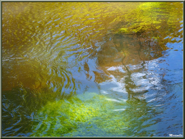Reflets impressionnistes sur La Leyre, Sentier du Littotal au lieu-dit Lamothe, Le Teich, Bassin d'Arcachon (33)
